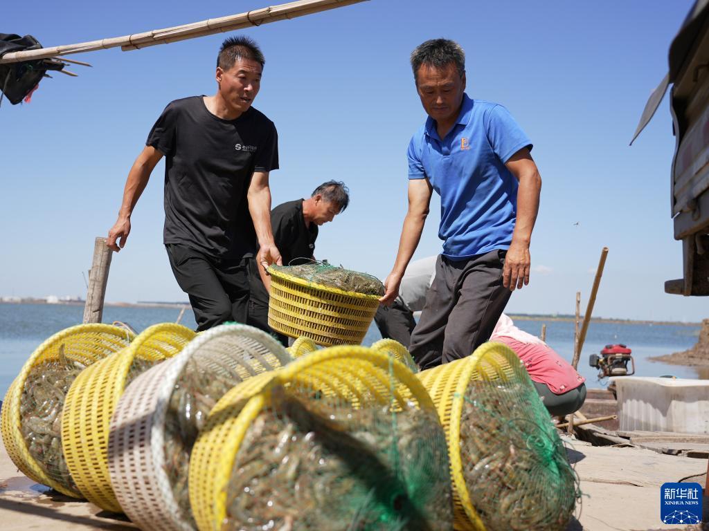 欢迎来到公海堵船