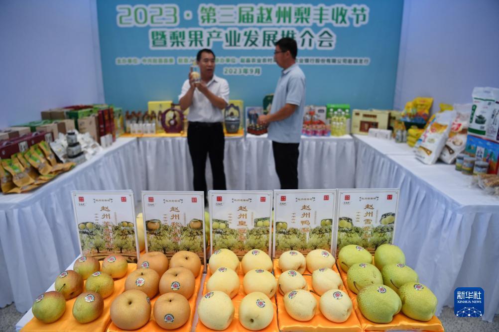 新奥门娱乐